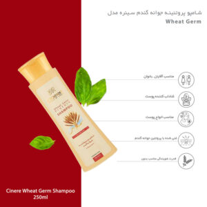 شامپو جوانه گندم سینره 250 میل