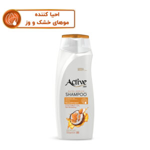 شامپو موهای خشک اکتیو 350 میل